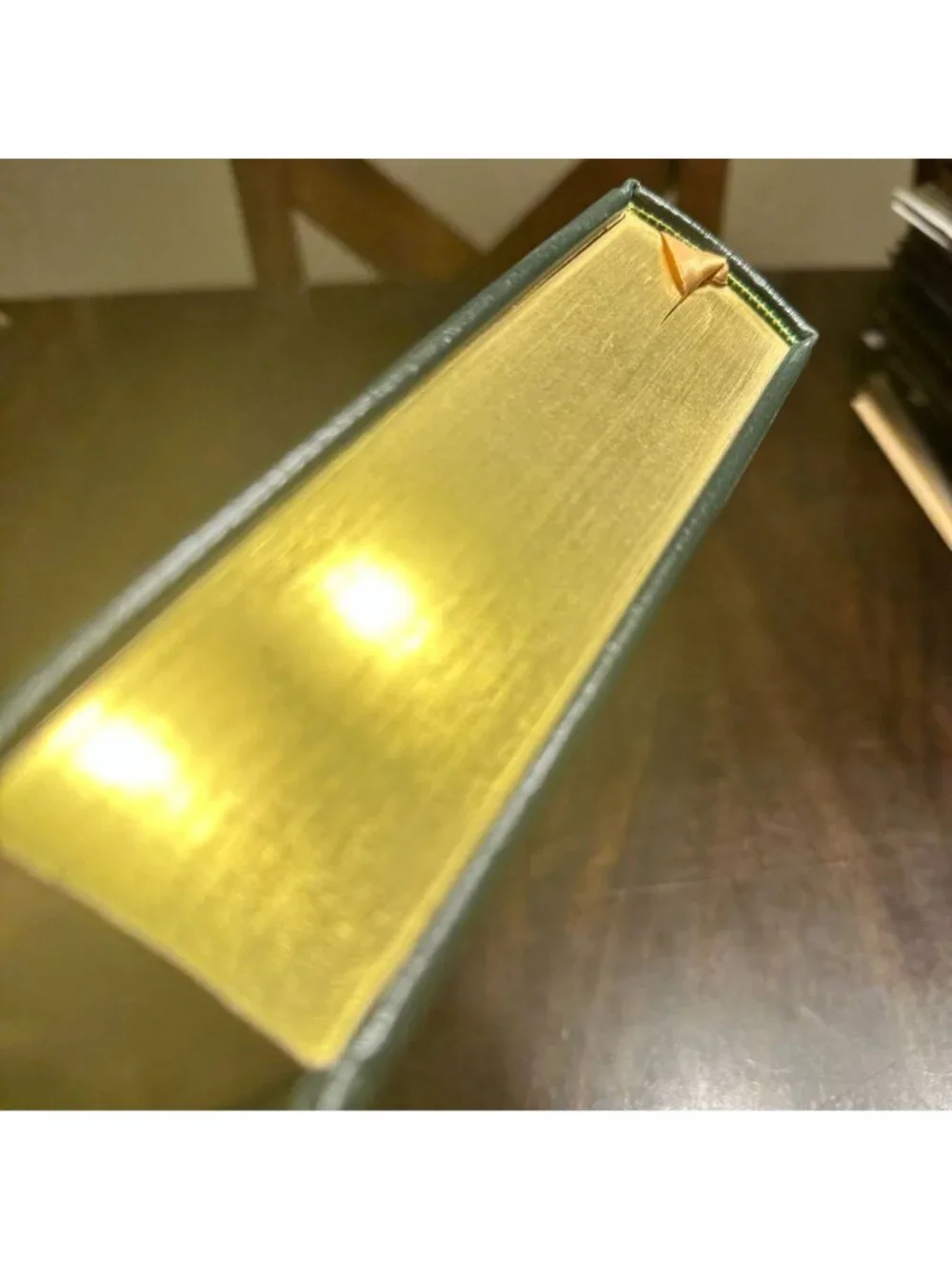Easton Press The Magic Mountain By Thomas Mann Leather Bound